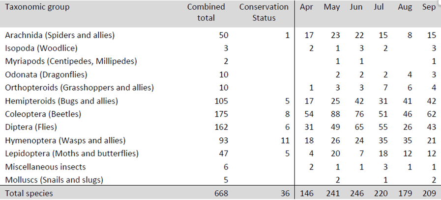 Results of the invertebrate survey - taxonomic group by month