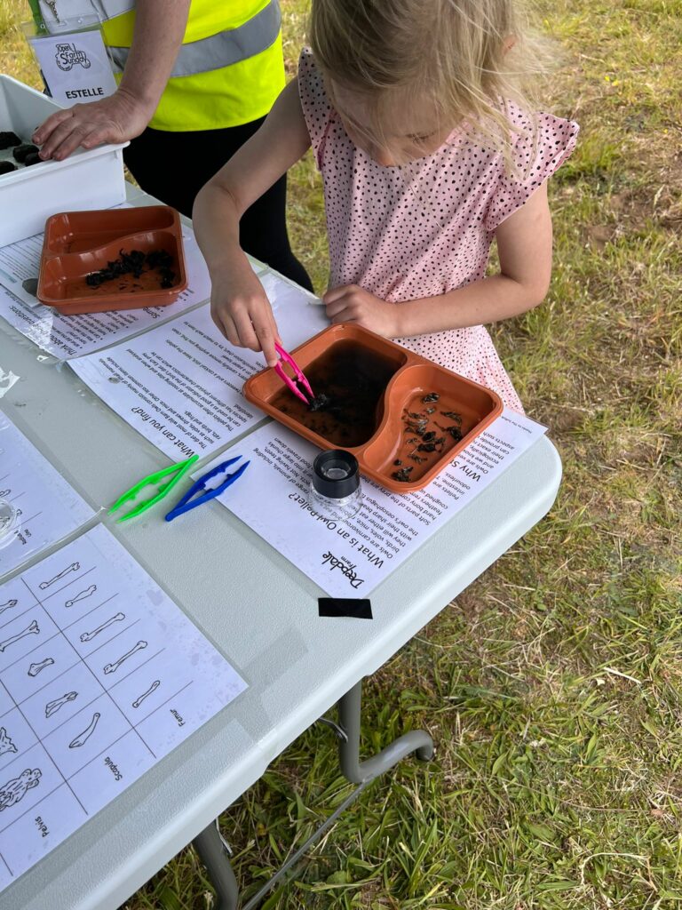 Owl pellet dissection at Open Farm Sunday
