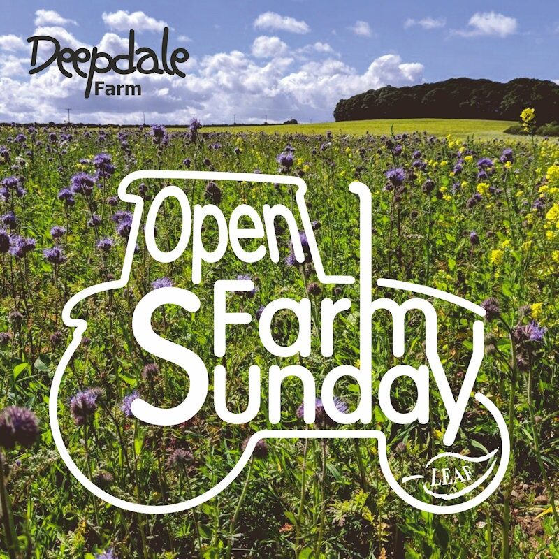 Open Farm Sunday 2025 – 1st June